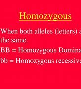 Image result for Homozygous Chromosome