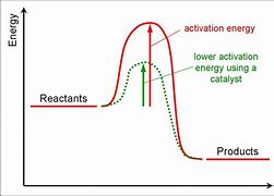 Image result for Activation Energy Chart
