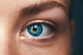 Image result for Detailed Eye Close Up