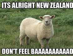 Image result for New Zealand Memes