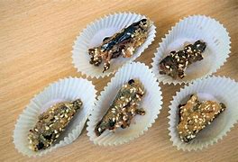 Image result for Entomophagy