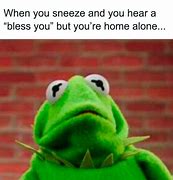 Image result for Kermit Memes Opens