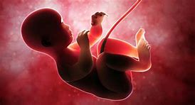 Image result for aborto