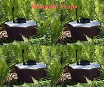Image result for Canadian Mosquito Trap