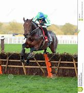 Image result for Ascot Jumps Racing