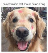 Image result for Dog Lipstick Meme