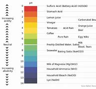 Image result for Phytic Acid Food Chart