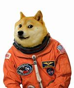 Image result for Doge Meme Template HD
