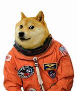 Image result for Galaxy Doge PNG