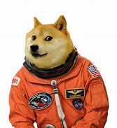 Image result for Sad Doge Meme Template