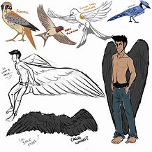 Image result for Drawings of People with Wings