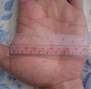 Image result for 4 Inches Against a Hand