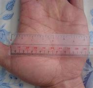 Image result for 6 Inches Size