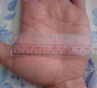 Image result for How Many Inches Is 8 Cm
