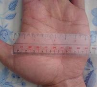 Image result for 6 mm to Inches