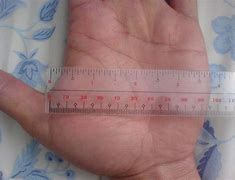 Image result for How Tall Is 4 Inches