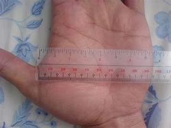 Image result for 7 Inches Wide Hand