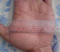 Image result for How Big Is 10 Inches