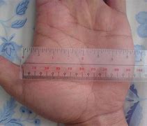 Image result for 7 Inches Long