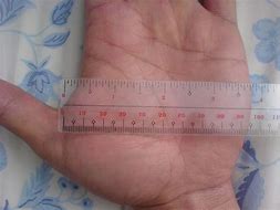 Image result for How Big Is 25 Inches