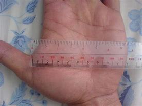 Image result for 4 Inch Diameter