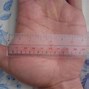 Image result for How Big Is 4 Inches