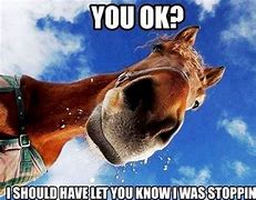 Image result for Good Horse Meme