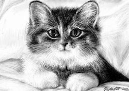 Image result for Kitten Drawing