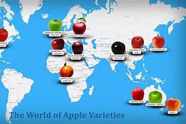 Image result for Popular Apple Varieties