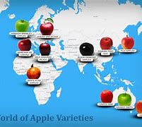 Image result for Apple Varieties by Region