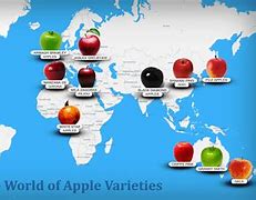 Image result for autumn apples variety