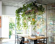 Image result for Hanging Plant Light