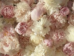 Image result for iPhone 5 Mini Size White and Pink