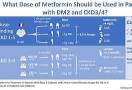 Image result for Type 2 Diabetes Metformin