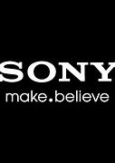 Image result for Sony 1080P Video Camera