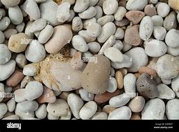 Image result for Mass of Pebbles