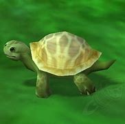 Image result for Turtle Pet WoW