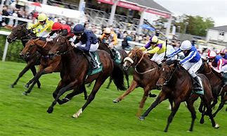 Image result for Horse Racing Wallpaper