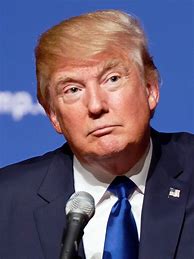 Image result for Trump Side Profile