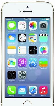 Image result for iPhone 5S in Hand