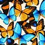 Image result for Butterflies iPhone 5S
