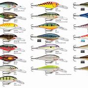 Image result for Rapala Shad Rap