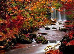 Image result for Cool Fall Backgrounds