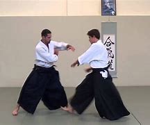 Image result for Aikido Black Belt