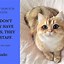 Image result for Best Cat Quotes