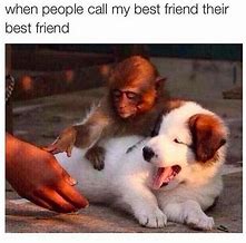Image result for That's My Best Friend Meme