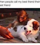 Image result for Best Friend Meme Template