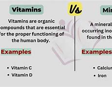 Image result for What Is the Difference Between a Vitamin and a Mineral