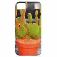 Image result for Iphonr 5S Cactus Case