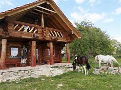 Image result for co_oznacza_zemiansky_vrbovok